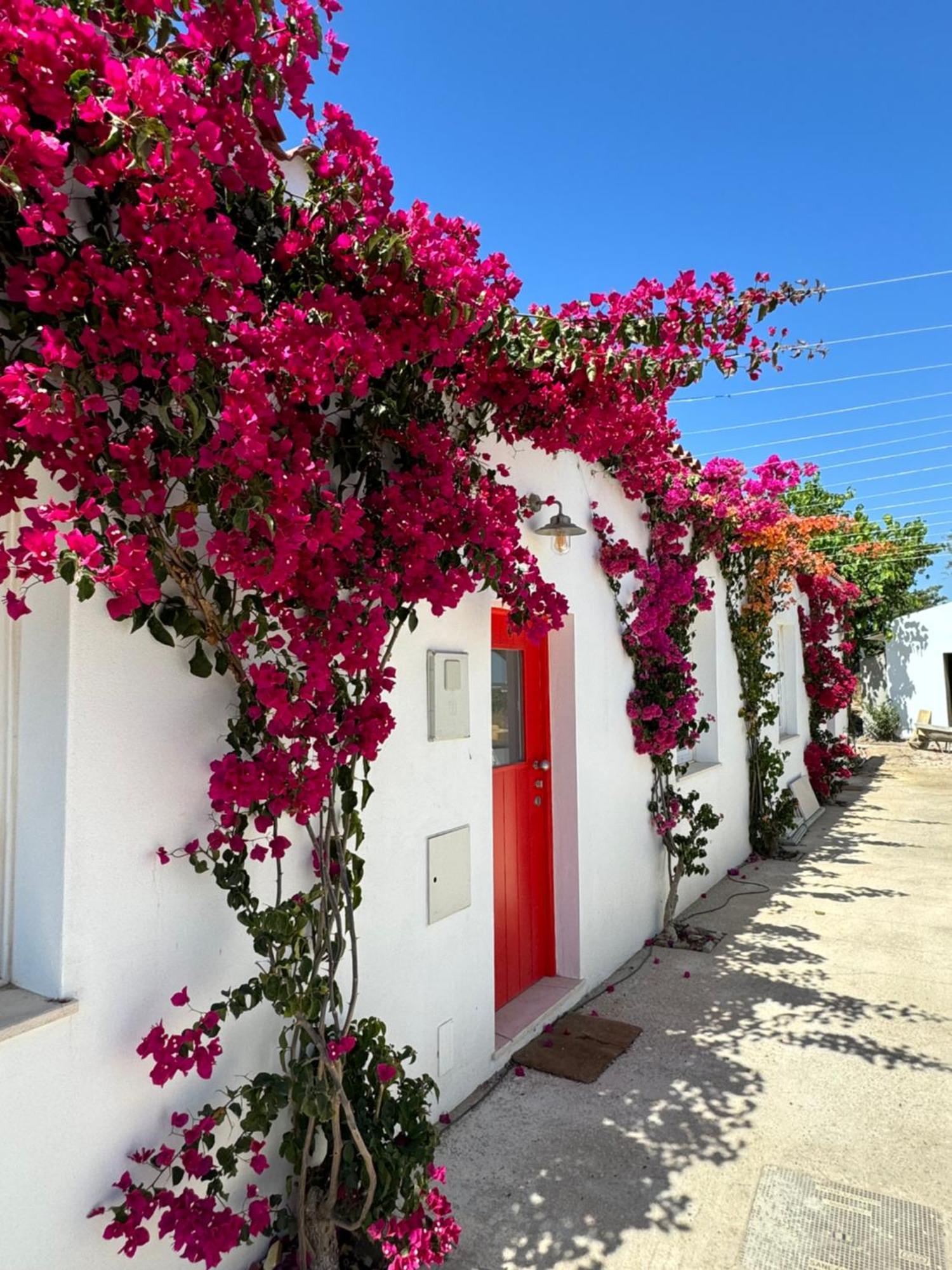 Quinta Castor Villa Vila Nova de Cacela Exterior photo